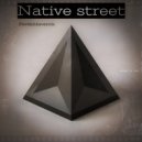 PavlikMaverick - Native street (Radio Edit)