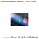 Sleep BGM Mindfulness - Nature\'s Lullaby Cradles the Mind, Easing Postpartum Worries (Original Mix)