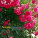 Карина Володченко - Ты где-то там... ()