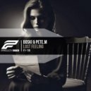 Boski & Pete.M - Lost Feeling (Original Mix)