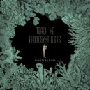 ORGANISMO - TEACH ME PHOTOSYNTHESIS