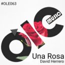 David Herrero - Una Rosa ()