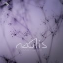 Nautis - Circles ()
