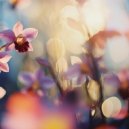 cloud_gzr - Rain Drops ()