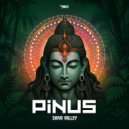 PiNUS - Shiva Valley