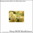 Sleep BGM Mindfulness - Nurtured by the Soundwaves of Cognitive Symphony for Sleep\'s Bliss (Original Mix)
