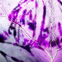 text1lee - неужели ()