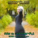 Sonius - It's A Wonderful