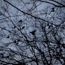 Nebosclon - Empty Skies ()