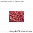 Sleep BGM Mindfulness - Mental Serenity Cradled in the Lull of Tranquil Nights (Original Mix)