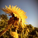 Trapeznikov music - Delicious evening ()