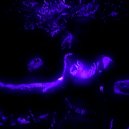 HetZaro & c0ldy - FEEL LIKE YOU (Slowed)