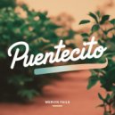 Mervin Fails - Puentecito (Original Mix)