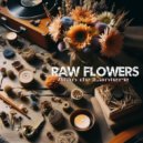 Alan De Laniere - Raw Flowers (Original Mix)