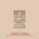 Earthtones feat. Sheela Bringi - Infinite Tenderness (Ami Dang Remix)