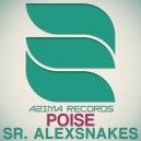 Sr. AlexSnakes - Sense & Feel (Original Mix)