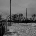 Submersion - Field II (Wetlands, 28°F)