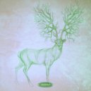 Beta Function - Phosphorescent Dots (Original Mix)