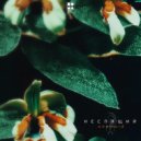 Неспящий - Dionaea muscipula