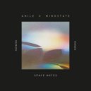 Anile, Mindstate, XIVA feat. Verbz - Every Part Of Me (Original Mix)