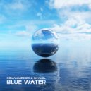 Roman Messer & Skyvol - Blue Water (Extended Mix)