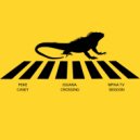 Mike Casey - Iguana Crossing (WPAA TV Session)