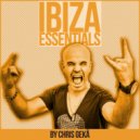 Danny Tenaglia - Dibiza (Wow & Flute In Stereo Mix)