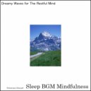 Sleep BGM Mindfulness - Nurturing Dreams With Melodies of Sound Therapy (Original Mix)
