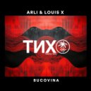 Arli & Louis X - Bucovina (Extended Mix)