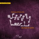 Francesco D\'Errico Trio - Drums meditation 2 ()