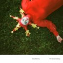 Blue Monkey - The Great Undoing ()