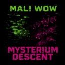MALI WOW - Mysterium Descent ()