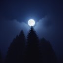 NeuroÆsthete - Twilight dreams ()