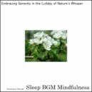 Sleep BGM Mindfulness - Neural Waves Flowing In Solfeggio Serenity (Original Mix)