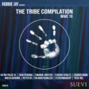 Ricardo Demazzo - In The Groove (Original Mix)