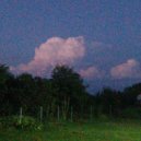 INEXWAVE - untitled ()