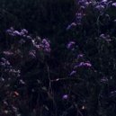 $ølidi & constsad & SXULXEMPINESS - changes ()