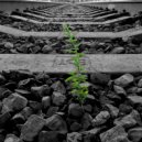 fullbloom - фотосинтез ()