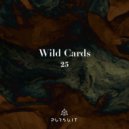 Carles - Redline (Extended)