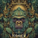 Togata - Kong City
