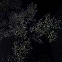 ТЫСЯЧА ЛИЦ - Воздух ()