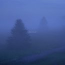maltxfay - after the rain ()