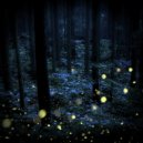 ∆lpha & FLVMMING - Night gatherings (Ultra Slowed)