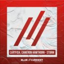 CARTFISH & Cameron Hawthorn - Storm (Extended Mix)