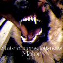 Major - State of consciousness (prod. by hirota)