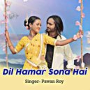 Pawan Roy - Dil Hamar Sona Hai (Original Mix)