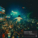 Dubdogz, DORIANN - Why Not (Original Mix)