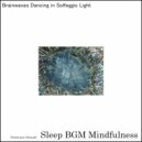 Sleep BGM Mindfulness - Whispers of Sound Healing Soothe The Anxious Mind\'s Woes (Original Mix)