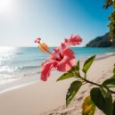 Nature Bloom & Lofi Calm - Golden Hours (Original Mix)