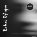 Dj TrinityBlade - Echos Of You